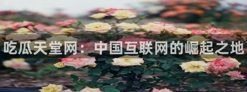 ccgg今日吃瓜:吃瓜天堂网:中国互联网的崛起之地