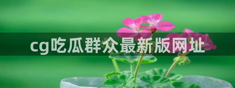 cg吃瓜群众最新版网址:cg吃瓜群众最新版网址